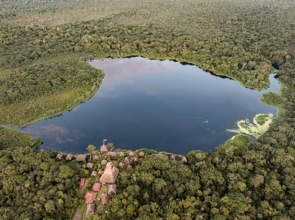Wildlife and rainforest at Napo Wildlife Center, Yasuní