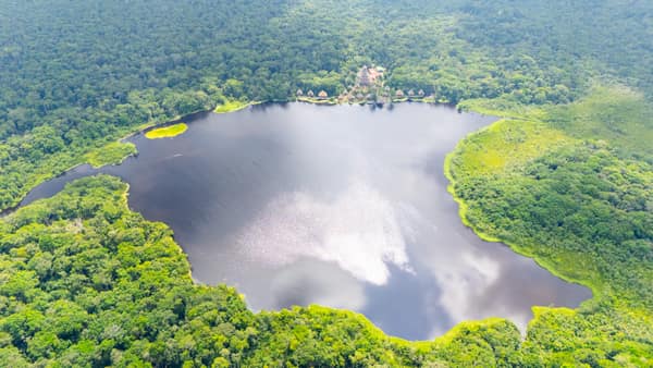 Wildlife and rainforest at Napo Wildlife Center, Yasuní