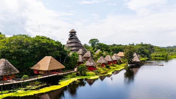 Wildlife and rainforest at Napo Wildlife Center, Yasuní