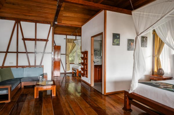 Wildlife and rainforest at Napo Wildlife Center, Yasuní