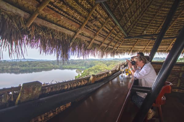 Wildlife and rainforest at Napo Wildlife Center, Yasuní