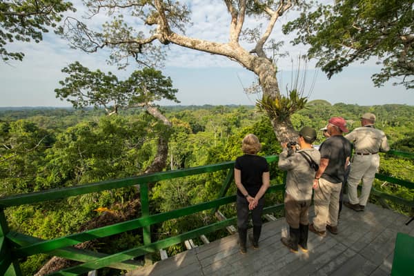 Wildlife and rainforest at Napo Wildlife Center, Yasuní