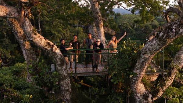 Wildlife and rainforest at Napo Wildlife Center, Yasuní