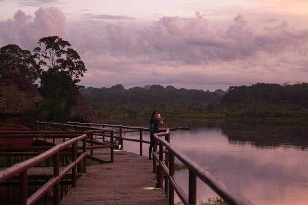Wildlife and rainforest at Napo Wildlife Center, Yasuní