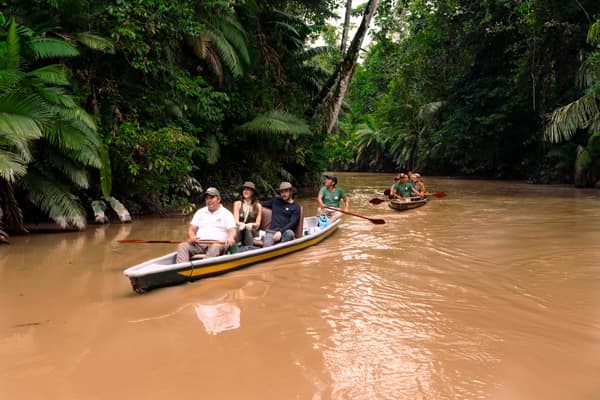 Wildlife and rainforest at Napo Wildlife Center, Yasuní