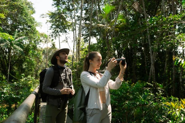 Wildlife and rainforest at Napo Wildlife Center, Yasuní
