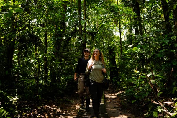 Wildlife and rainforest at Napo Wildlife Center, Yasuní