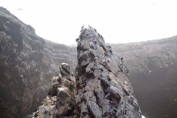 Seabirds covering a rock pinnacle at the Ballestas Islands