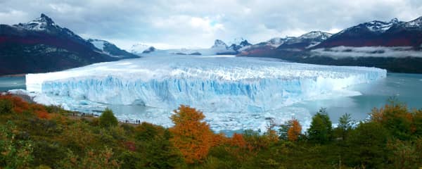 The Perito Moreno Glacier with autumn forest in the foreground