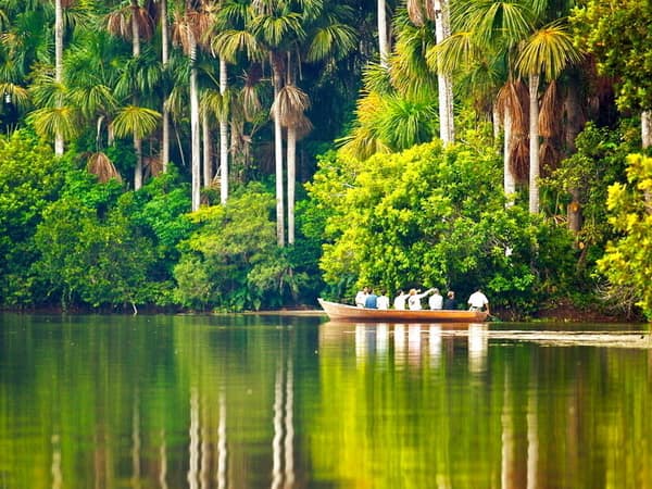 A boat of visitors exploring palm-fringed Sandoval Lake