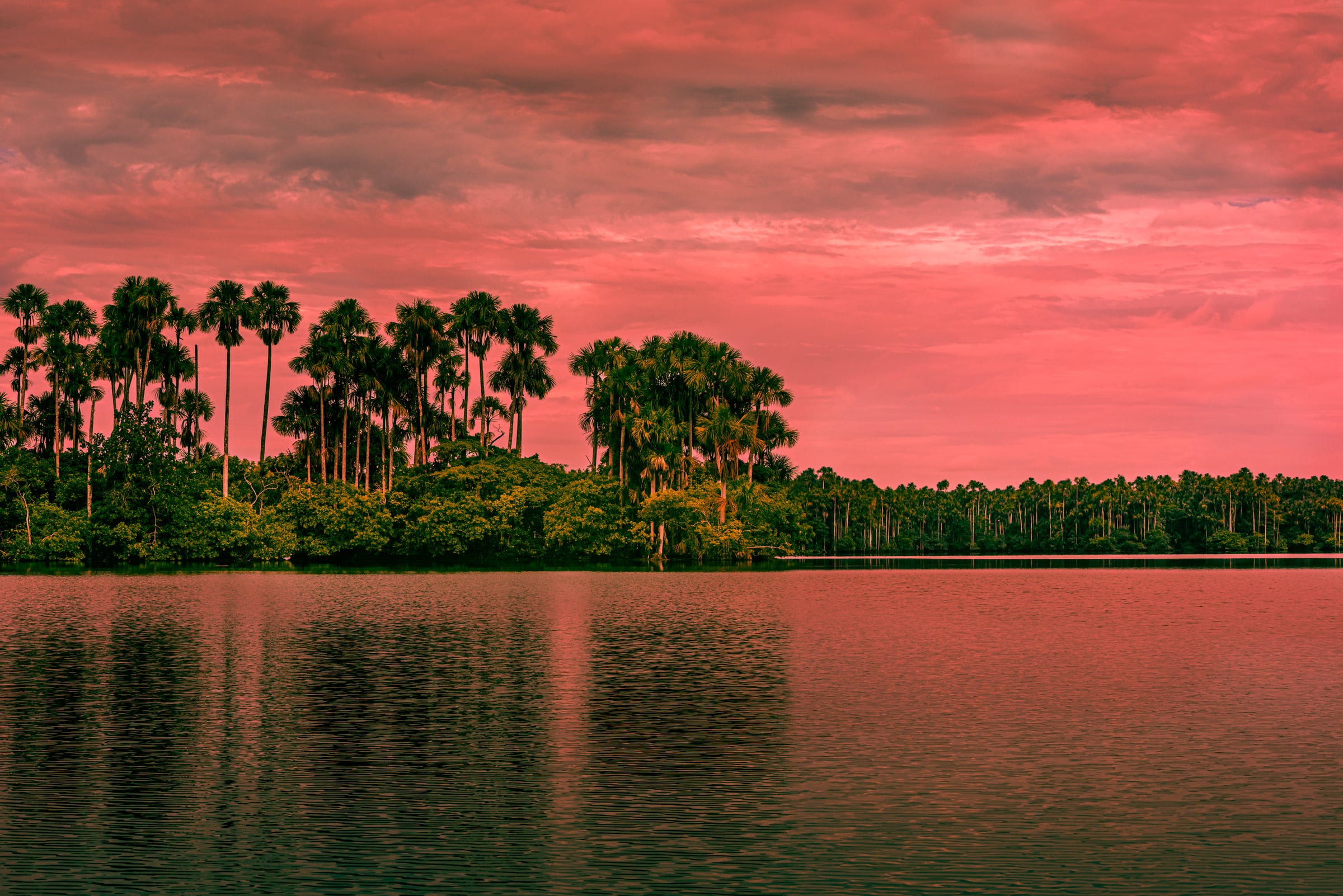 Sandoval Lake, Tambopata National Reserve, Madre de Dios, Peru