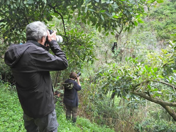 Guests at the Bear Canyon viewing experience
