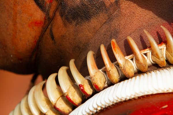 Close-up of a traditional necklace of animal claws
