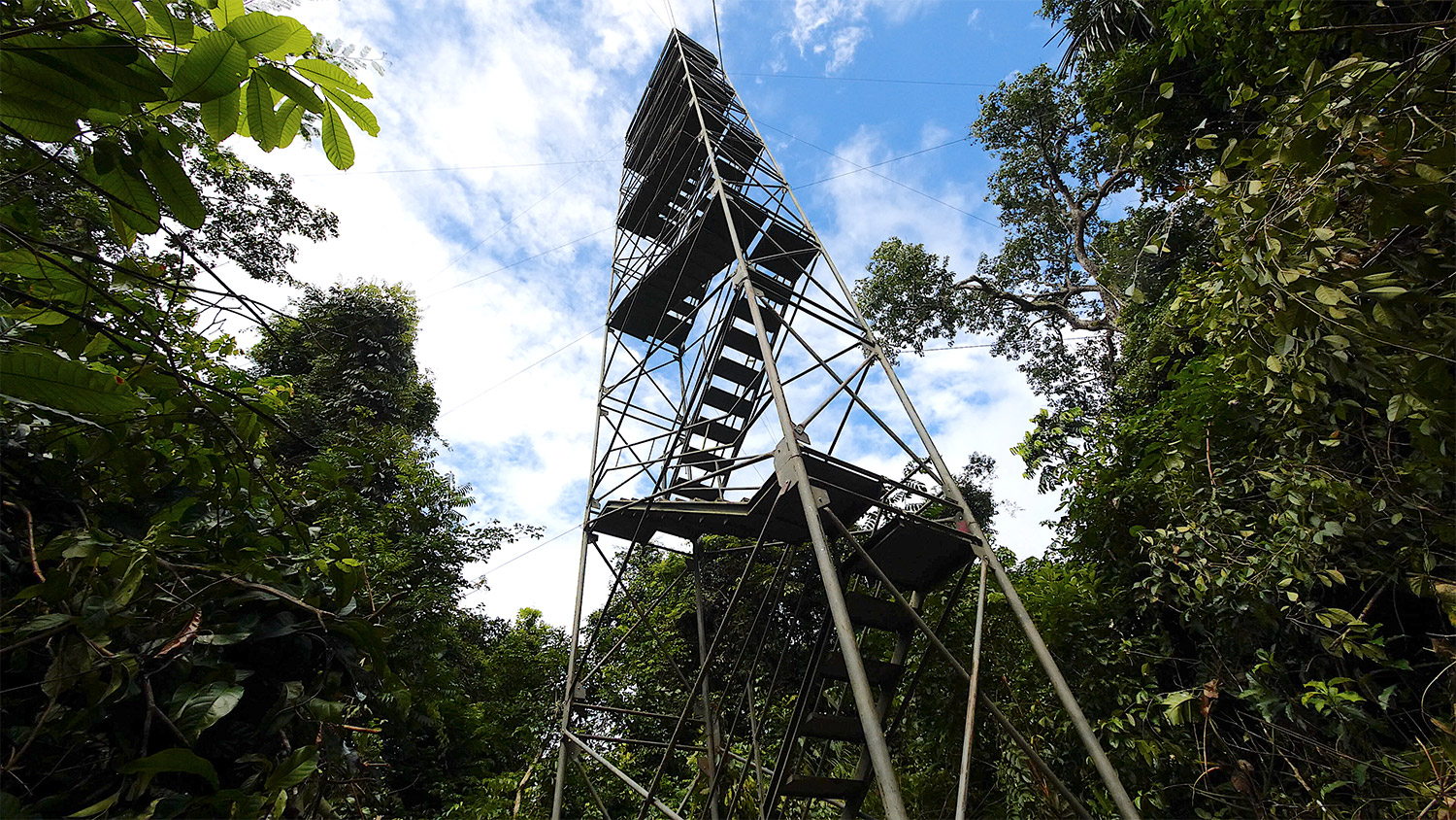 SouthWild-Amazon-Lodge-Galeria-9
